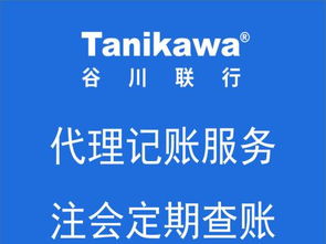 專業(yè)財(cái)稅服務(wù) 一站式承接武清企業(yè)注冊與稅務(wù)咨詢